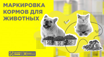 Обязательная маркировка кормов для животных в 2024 году: все, что нужно знать