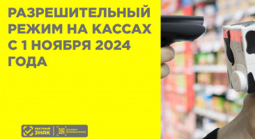 Разрешительный режим на кассах с 1 ноября 2024 года: новые категории товаров и правила работы