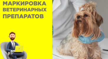 Маркировка ветеринарных препаратов Честный ЗНАК: новые правила с 2025 года