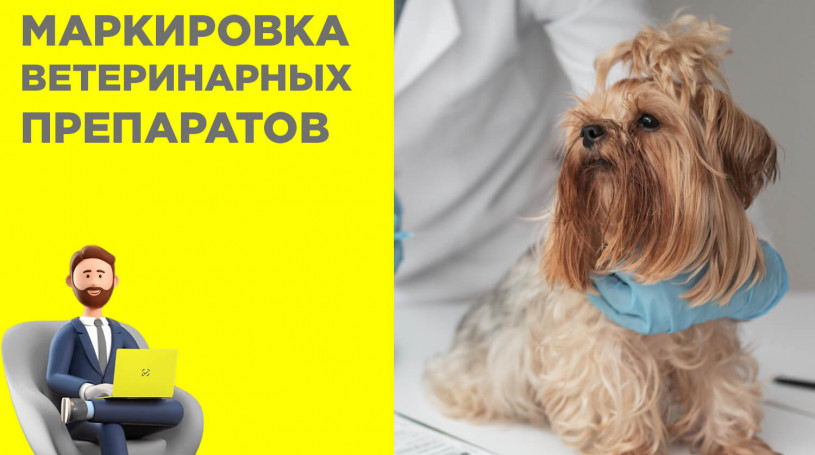 Маркировка ветеринарных препаратов Честный ЗНАК: новые правила с 2025 года