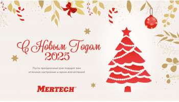 С наступающим 2025 годом! Поздравление от компании MERTECH