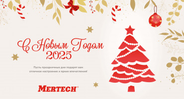 С наступающим 2025 годом! Поздравление от компании MERTECH