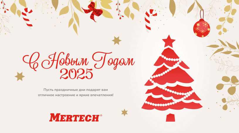 С наступающим 2025 годом! Поздравление от компании MERTECH