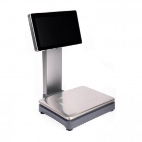 Весы M-ER 828 PM-15.2 (VISION-AI, 12", USB, Ethernet, Wi-Fi)